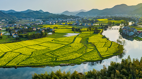 Addressing Climate Change and Corporate Environmental Governance