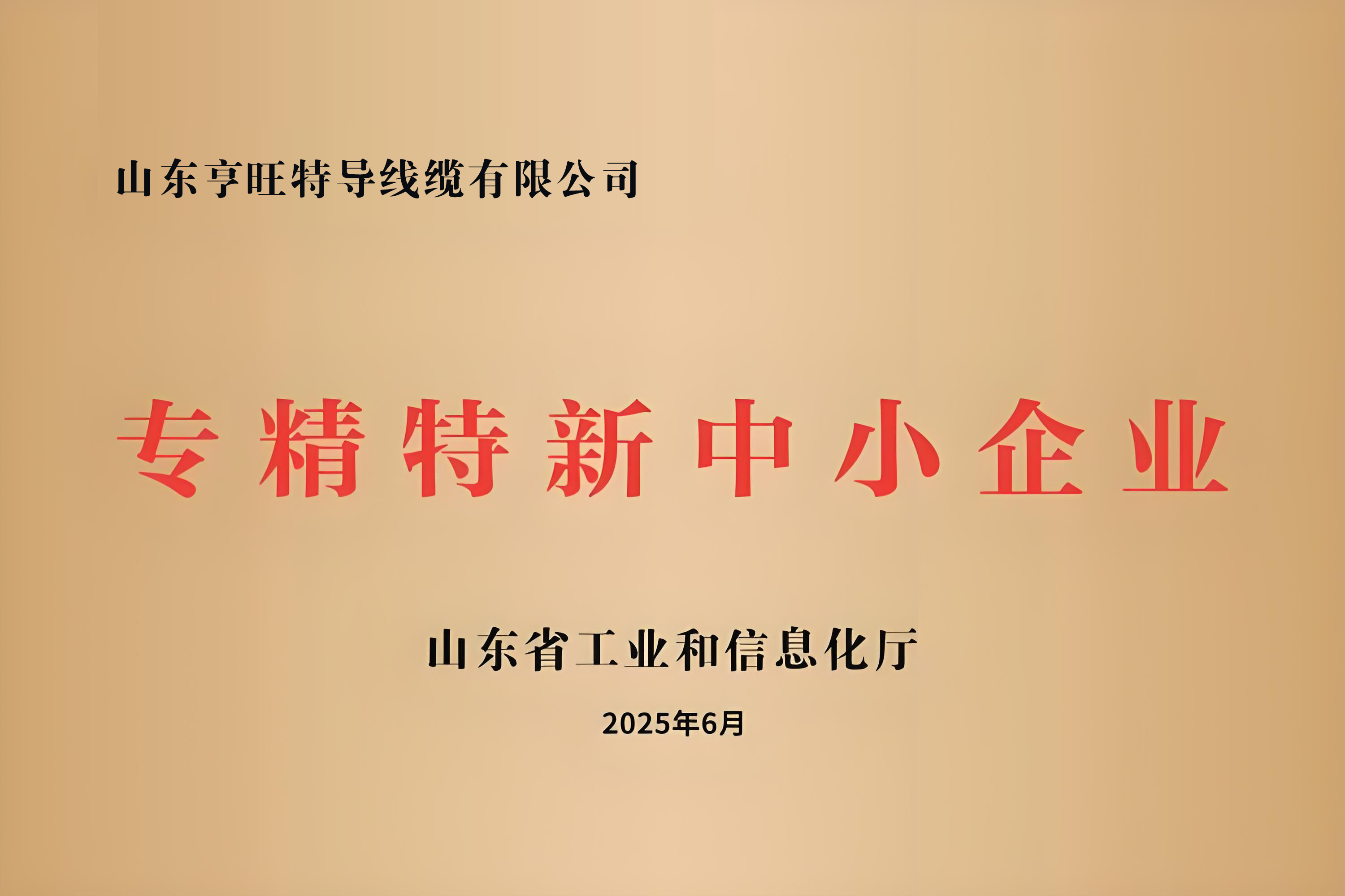 Good News! Hengwang Special Cables Honored with Shandong Province 2025 "Specialized, Sophisticated, Distinctive and Innovative" SME Title